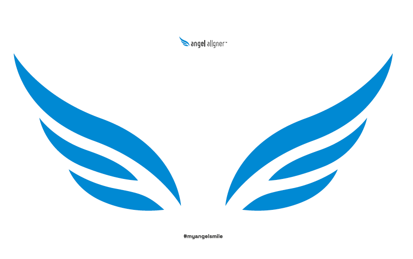 Cling blue wing AA 20/kit