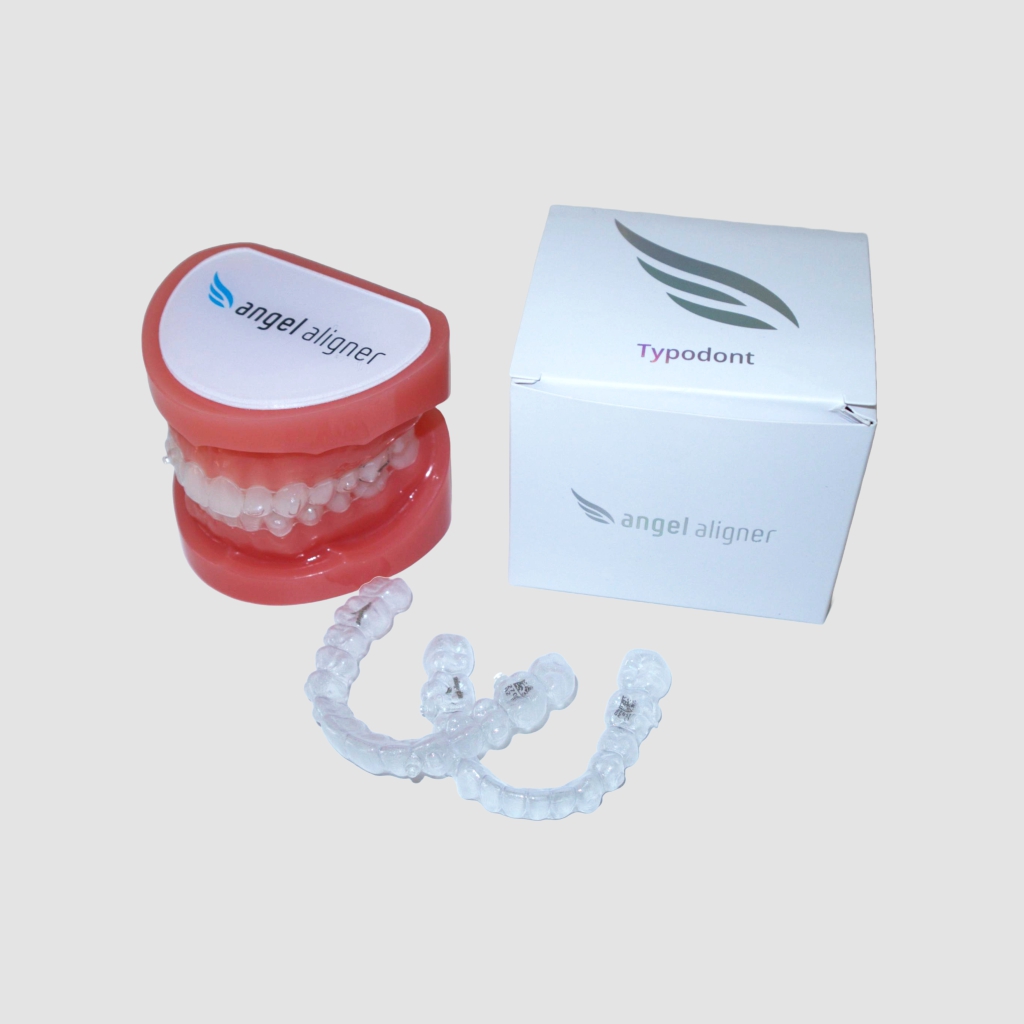 Typodont Adult MCS & MC