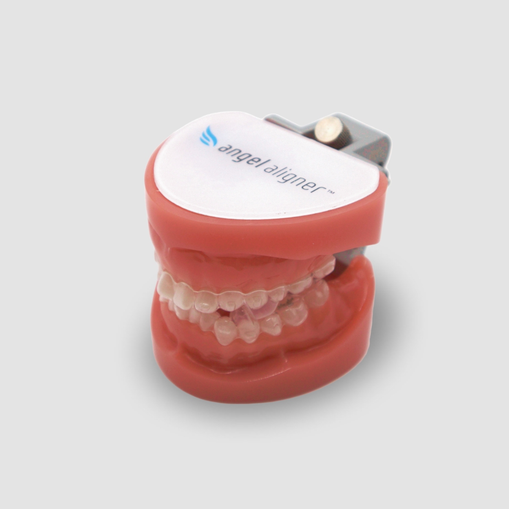 Typodont – A6-Mandibuläre-Protrusionslösung